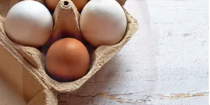 ein Eierkarton mit braunen und weißen Eiern